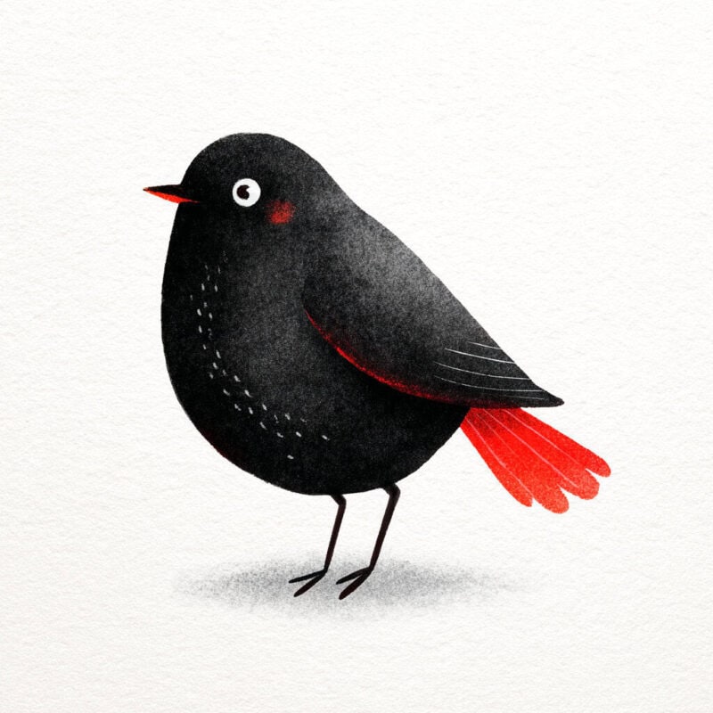 Priče za djecu - Male ptičice